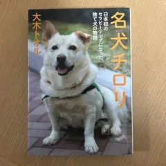 Item thumbnail for item bae0f813-7f8a-4576-8a6b-3f013442af2c