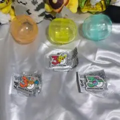 ポケモン 30周年 メタルチャームマスコット ピカチュウ リザードン フシギバナ