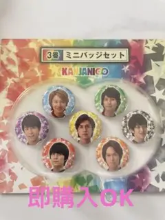 2025年最新】グループ名：SUPER EIGHT(関ジャニ∞) ピンズ