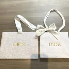 Dior リボン付きショッパー　2枚