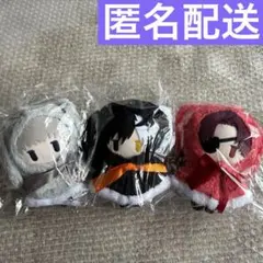 D.Gray-man ケープたぴぬい アレン・ウォーカー 神田ユウ ラビ - メルカリ
