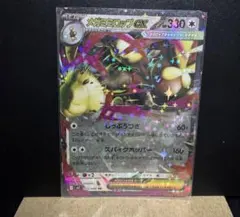 メガミミロップEX 072/080 RR