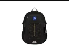 TNF x Aime Leon Dore Borealis Backpack