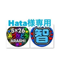 Hata様 リクエスト 2点 まとめ商品