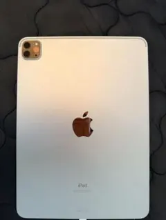 Apple iPad Pro (11インチ) 256GB シルバー