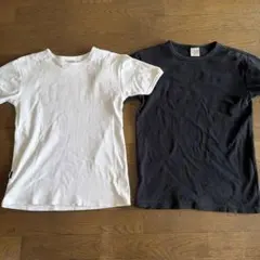 AVIREX リブ Tシャツ 2枚セット