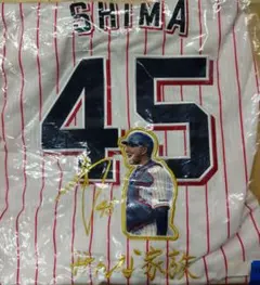 2025年最新】嶋基宏 ヤクルトの人気アイテム - メルカリ