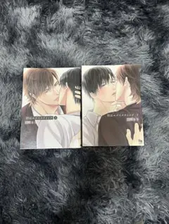 唇はエゴイスティック 上下巻 藤河るり