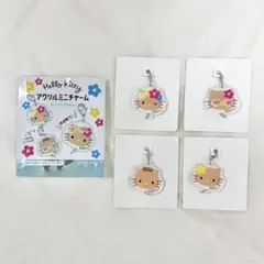 【新品】サンリオ　ハローキティ　アクリルミニチャーム　日焼け　ダニエル　ミミィ