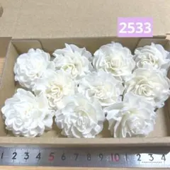 ソラフラワー　2533