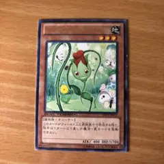 2026年最新】カード種別：モンスターカード 遊戯王OCG デュエル