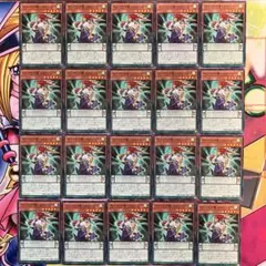 キュウドウ魂 HAN－SHI 20枚セット No.A206