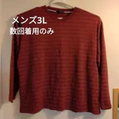 数回着用のみ(洗濯済) メンズ セーター ボーダー柄 3L ワインレッド
