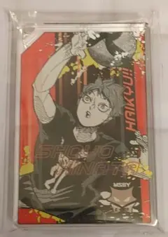 ハイキュー!! ドミノ風アクリルキーホルダーコレクション 日向×2
