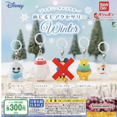 Disney めじるしアクセサリー Winter