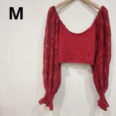 Item thumbnail for item bf2a9a61-a844-4a4b-8c18-b6eb4a5064f3