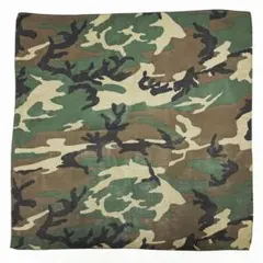 Item thumbnail for item 7b97e156-8081-4594-8fc4-63fde4f8d959