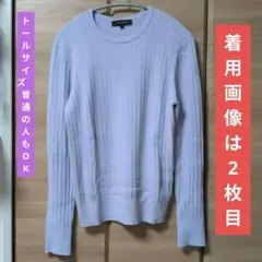 UNTITLED ニット ライトグレー　パープル　ラベンダー　アンタイトル　長袖