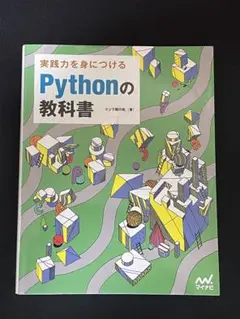 python IT
