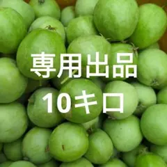 メイちゃん様専用出品　大粒