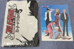 ブリーチ　ヒートザソウル3 5特典　下敷/オリジナル黒崎一護タオル 2種セット