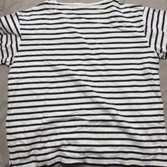 白と黒のストライプ Tシャツ