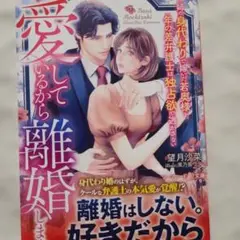 愛しているから離婚します～姉の身代わりで嫁いだ若奥様を、年の差弁護士は独占欲で…