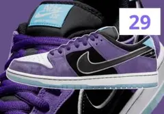 Hayley Wilson Nike SB Dunk Low A1