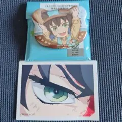 嘴平伊之助 鬼滅の刃 くまの缶バッジ 缶バッジ カード 海外