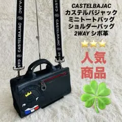 カステルバジャック 2WAY ミニトートバッグ ショルダーバッグ シボ革 刺繍のサムネイル