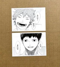 ハイキュー　クロニクル　日向翔陽　影山飛雄