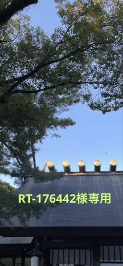 シャネル レ キャトル オンブル264