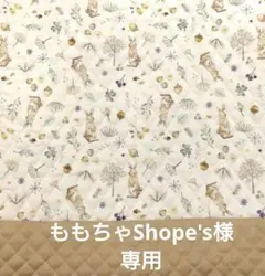 ももちゃShope's様専用　体操服袋　S　ミルキーラビット、恐竜柄