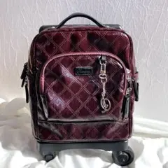 Item thumbnail for item 40e6d783-1d4e-433a-8b4f-b8201d6a47ff