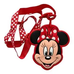 ミニーマウス パスケース 東京ディズニーリゾート　チケット入れ