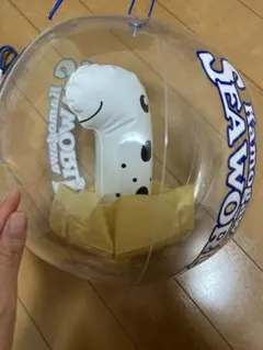 鴨川シーワールド ビーチボールのサムネイル