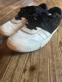 Item thumbnail for item 032bfc79-461f-4fd8-ad53-13470775d378