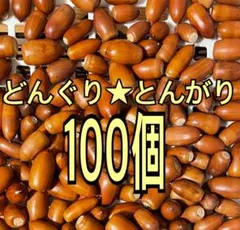 どんぐり★とんがり100個