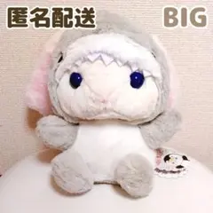 2025年最新】ぽてうさろっぴー サメの人気アイテム - メルカリ