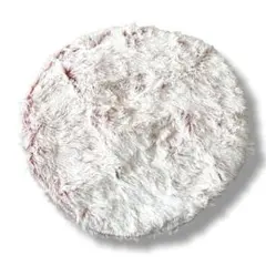 Item thumbnail for item fc4097db-63b9-4054-8991-e41de6a6c7a5