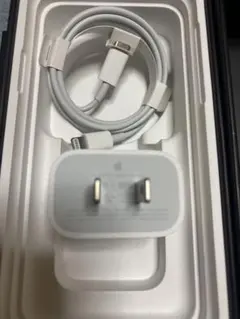 純正品 iPhone Apple ライトニングケーブル タイプC 充電器 急速