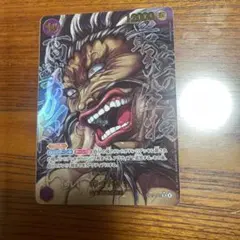 ワンピースカード 世界最強の戦士 カイドウ SRパラレル 原画 刃牙 sp