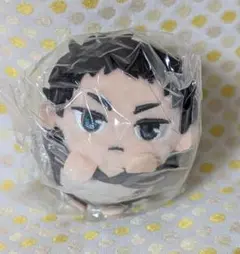 2025年最新】極楽湯 ハイキュー もちころりんの人気アイテム