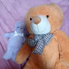 くまぬいぐるみまとめ売り