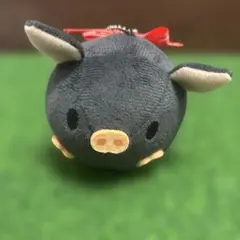 牧場物語 ブタさん ぬいぐるみ 2026年最新】マザー牧場 ブタの人気アイテム - メルカリ