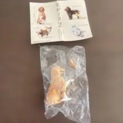 モザイヌ2 レトリバー ガチャ フィギュア ゴールデンレトリーバー 犬 モザイク