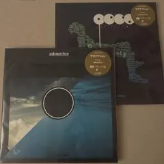 【新品未開封】sakanaction 重量盤アナログ 2LP