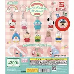 めじるしアクセサリー　サンリオキャラクターズ Part1 なおみ