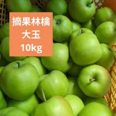 摘果林檎　大玉　ジョナゴールド　10kg　送料込み　136のサムネイル