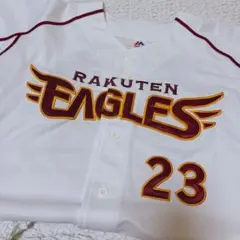 阪神タイガース 桧山進次郎 背番号24 ユニフォーム Lサイズ